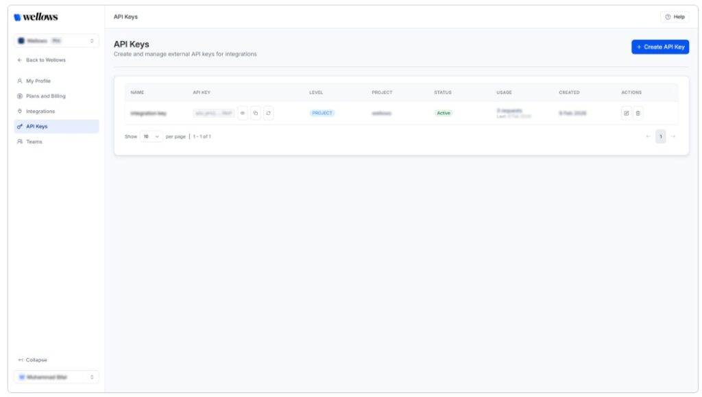 Wellows AI Review API keys