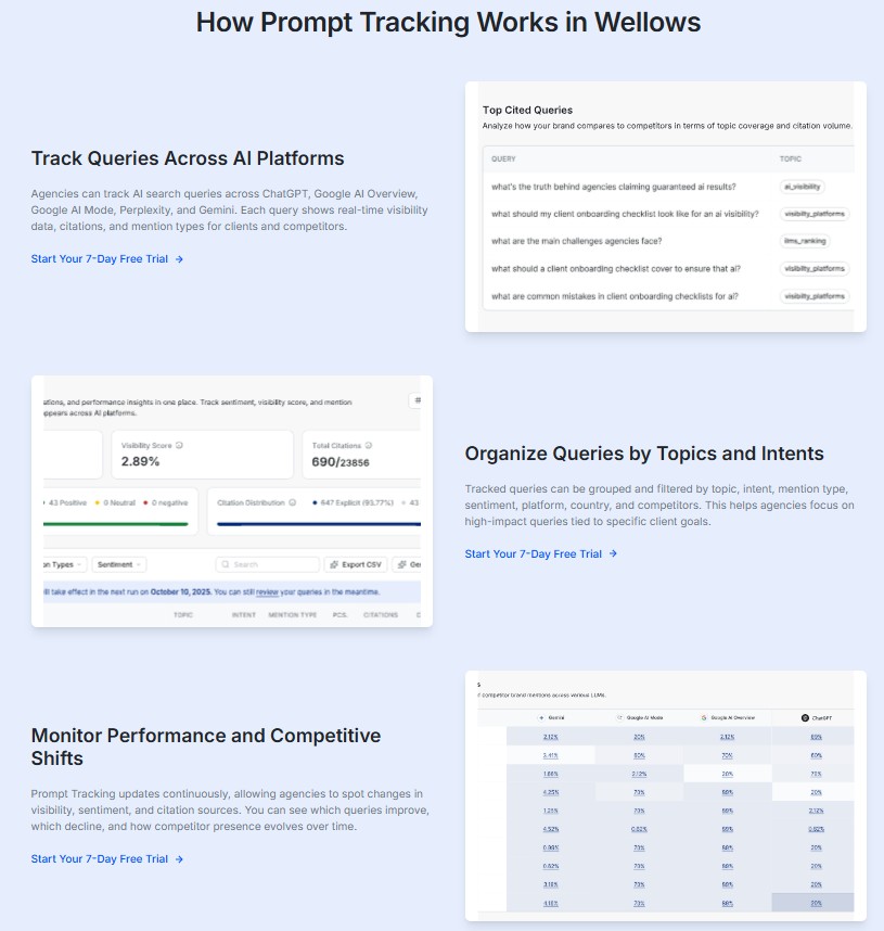 Wellows AI Review Prompt Tracking