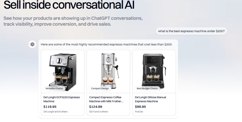 Hall AI Review Feature Conversational Commerce